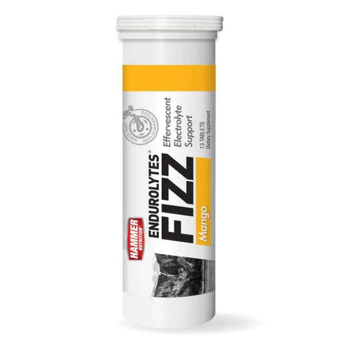 Hammer Nutrition - Endurolytes Fizz - Mango