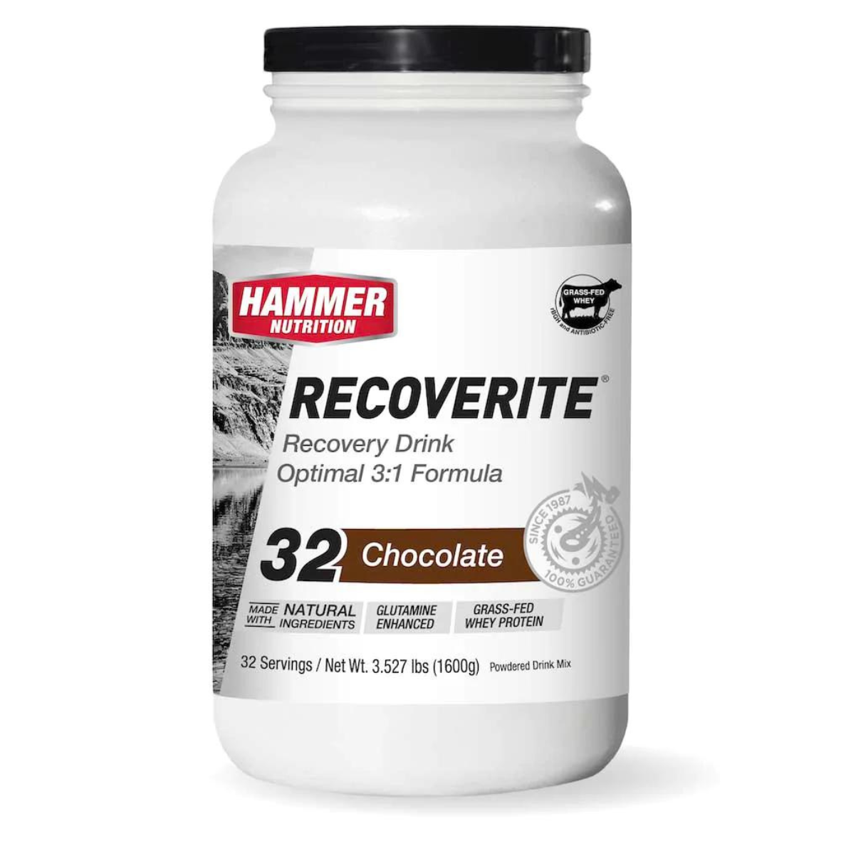 Hammer Nutrition - Recoverite - Chocolate